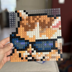 Meme Cat - Buildable Brick Art
